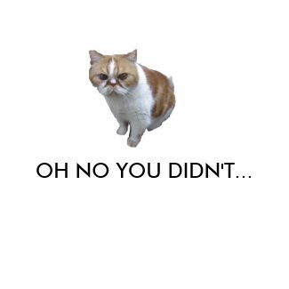 OH NO YOU DIDN'T... shirt