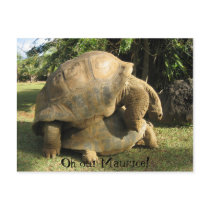 Oh oui Maurice! postcards