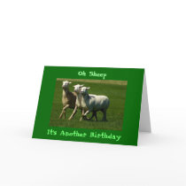 Oh Sheep!  Another Birthday Card