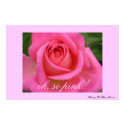 oh, so pink! posters
