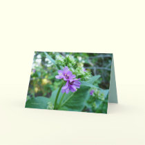 Oh So Purple cards