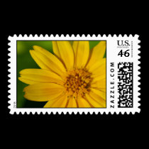 Oh, Sunny Day! postage by larissabrea Oh, Sunny Day! postage
