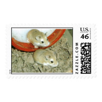 Oh what a pair postage by trixster1968 Oh what a pair postage