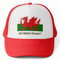 oh whats occurring welsh dragon