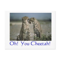 Oh! You Cheetah! postcards by zazitup Oh! You Cheetah! postcards