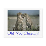Oh!  You Cheetah! Postcard