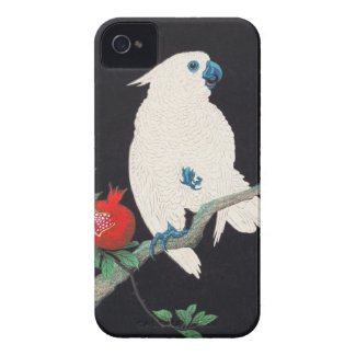 Ohara Shoson, Cockatoo and Pomegranate ukiyo-e iPhone 4 Cover