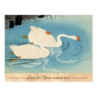 Ohara Shoson Two Sweeming Geese japanese art Postcard