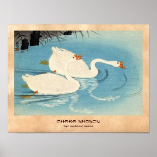 Ohara Shoson Two Sweeming Geese japanese art Print