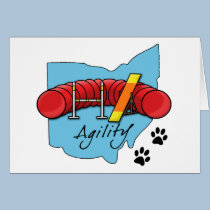 Ohio Agility cards