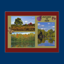 ohio autumn postcard