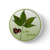 Ohio Buckeye Tree buttons by RichardBrowne Ohio Buckeye Tree buttons