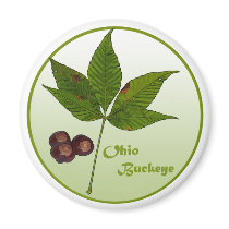 Ohio Buckeye Tree magnets by RichardBrowne Ohio Buckeye Tree magnets