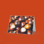 ohio, oh, buckeyes, tree, seeds, osu, ohio state