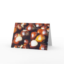 Ohio Buckeyes cards by gtk88594 Ohio Buckeyes cards