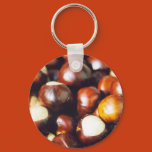 ohio, oh, buckeyes, tree, seeds