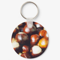 Ohio Buckeyes keychains by gtk88594 Ohio Buckeyes keychains