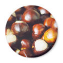 Ohio Buckeyes magnets by gtk88594 Ohio Buckeyes magnets