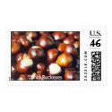 Ohio Buckeyes postage