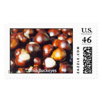 Ohio Buckeyes postage by gtk88594 Ohio Buckeyes postage