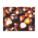 Ohio Buckeyes postcards by gtk88594 Ohio Buckeyes postcards