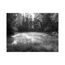 Ohio Pond posters by dparmenter99 Ohio Pond posters