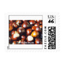 OhioBuckeyes, Ohio Buckeyes stamp