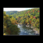 Ohiopyle River in Fall Postcard