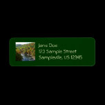 Ohiopyle River in Fall Return Address Label
