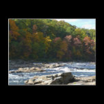 Ohiopyle River Rapids in Fall Postcard