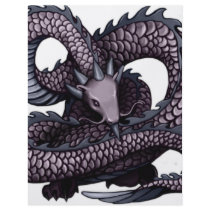 Ohkin Dragon flyers