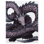 Ohkin Dragon flyers
