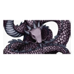 Ohkin Dragon Photo Card Template