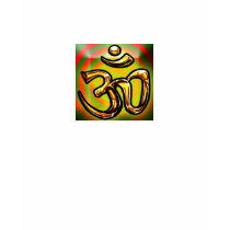 OHM Ladies T-Shirt