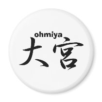 ohmiya magnets