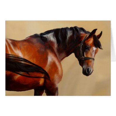 Oil horse greeting cards
