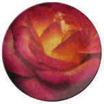 Oil Painted Flaming Red Rose Porcelain Plates