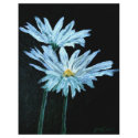 oil painting of white daisy flowers modern art flyers