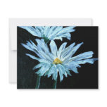 oil painting of white daisy flowers modern art custom announcement