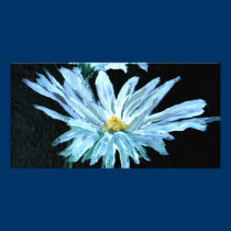 oil painting of white daisy flowers modern art photo cards