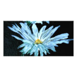 oil painting of white daisy flowers modern art photo greeting card