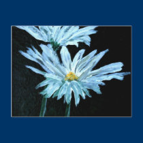 oil painting of white daisy flowers modern art postcards