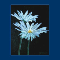 oil painting of white daisy flowers modern art postcards