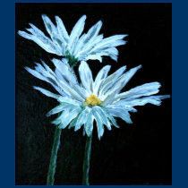 oil painting of white daisy flowers modern art t-shirts