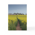 Oil Seed Path Card card