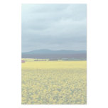 Oil-seed rape, Angus, Scotland at the Cornish Rivi Stationery