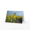 Oil seed rape flowers card