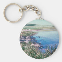Oil Spill Into Wetlands Keychain