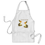 Oil Spill Pelicans Apron