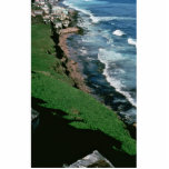 Oiled Coast, San Juan Photo Sculptures